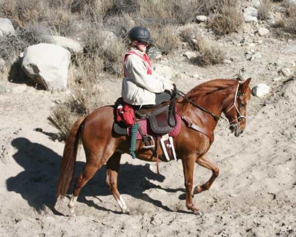 Joy of Riding Participant Cheryl Calentine Receives 2008 International Side saddle Organization (ISSO) Award