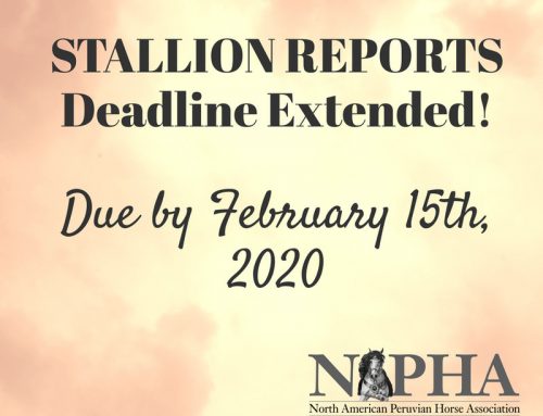 2019 Stallion Reports – Deadline Extended