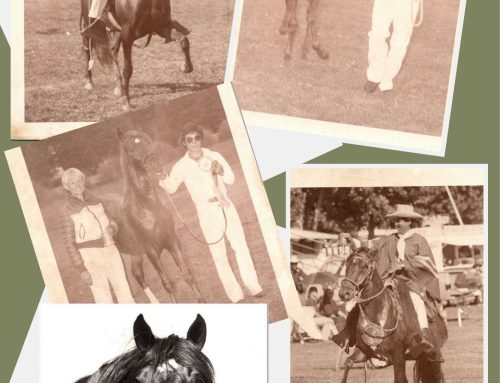 Feb NAPHA National Newsletter